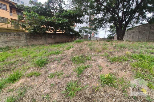 Imagem 2 de 5 de Lote À Venda No Fernão Dias - Código 267713 - 267713