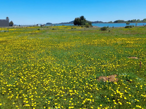 Vendo Parcela Con Cabaña En Lago Machicura D3 B2 Colbún