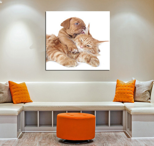 Vinilo Decorativo 60x60cm Perro Gato Cat Dog Veterinaria