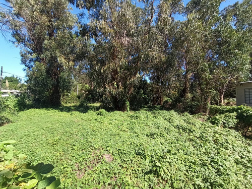 Terreno A La Vanta En San Luis Sur Esquina | Calle Pavimentada