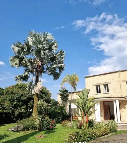 Vendo Casa Campestre En Pance