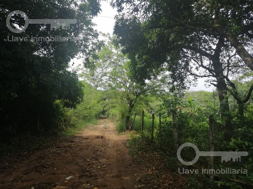 Imagen 1 de 5 de Terreno En Venta, Ejido Calzadas Cosoleacaque, Ver.