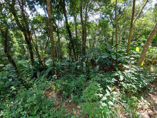 Imagem 5 de 14 de Terreno À Venda, 3235 M² Por R$ 180.000 - Parque Suiço - Mairiporã/sp - Te0832