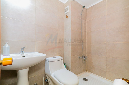 Departamento En Venta De 3 Dorm. En Providencia