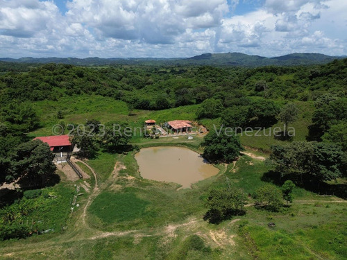 Carlos Colmenarez Vende Finca 28hec (todas Empastadas) Cercas Perimetrales 02 Cochineras; 01 Cochinera Para 150 Madres Y Capacidad De 800 Animales De Engorde 01 Cochinera Con Capacidad De 400 Animale