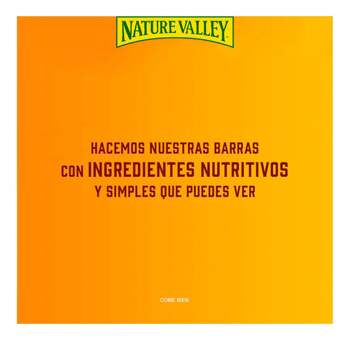 Barras De Cacahuate Con Chocolate Oscuro 200g Nature Valley