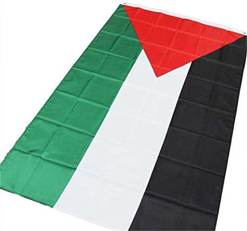 Bandera De Palestina 90 X 150 Cm Con Dos Ojales Metálicos