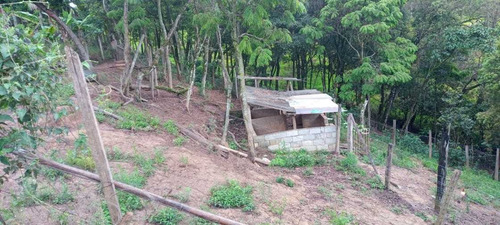 Imagem 8 de 14 de Oportunidade-chácara Com 3.000 M², Casa Com 02 Dormitórios!!