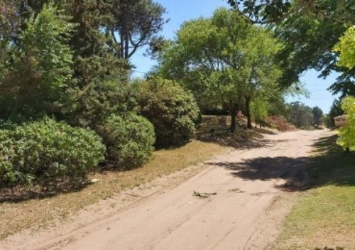 Imagen 2 de 7 de Oportunidad Retasado- Lote Multifamiliar En Mar De Ostende- Pinamar-