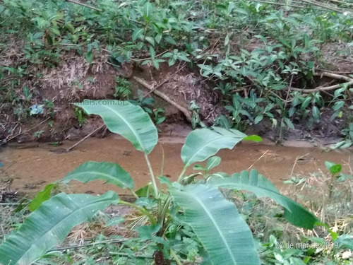 Terreno Para Venda, 622.5 M2, Guaratiba - Rio De Janeiro - 734