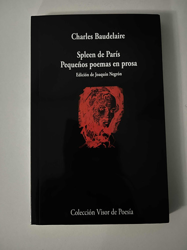 Spleen De París. Pequeños Poemas En Prosa, Baudelaire, Visor