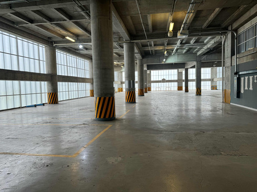 El Mejor Local Del Area En Polanco