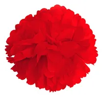 Comprar Decoracion Pompones De Papel Paq 10 Piezas