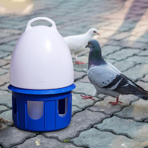 Bebedero For Palomas, Dispensador 6l D 19cm H 35cm