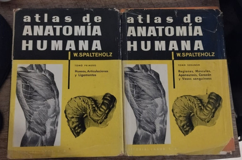 Atlas De Anatomía Humana - W. Spalteholz (2 Tomos)