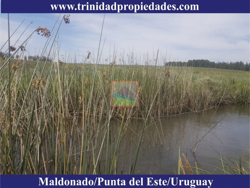 Imagen 9 de 10 de 86has Campo Turístico En Los Caracoles