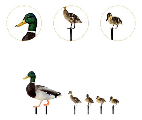 5 Peças Estátuas De Pato Estacas De Jardim Estatuetas