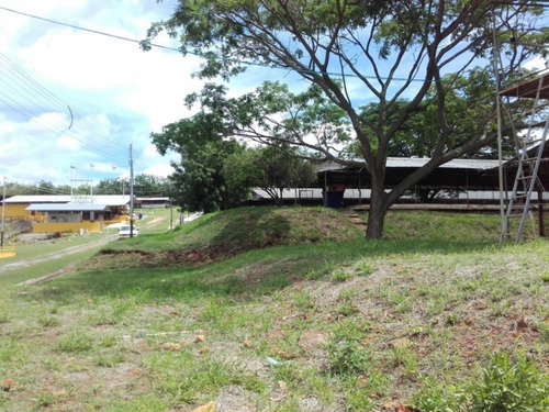 Granja Avicola Ganadera Minera Tinaquillo, Negociable