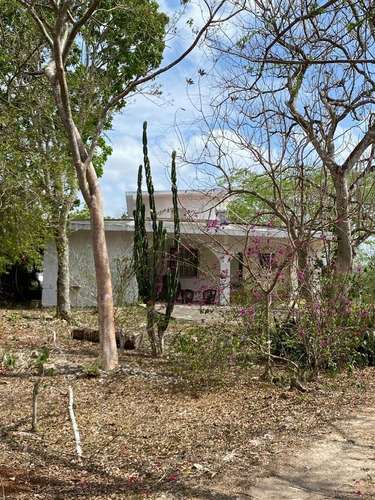 Quinta En Izamal Con Luz Propiedad Privada Con Arboles Fruta