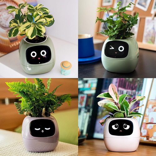 Maceta Robot Con Inteligencia Artificial Plant Ivy Amarilla