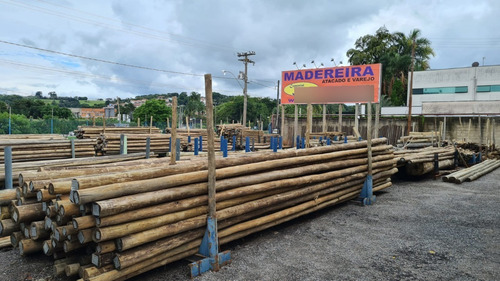 Eucalipto Tratado Santana De Parnaíba