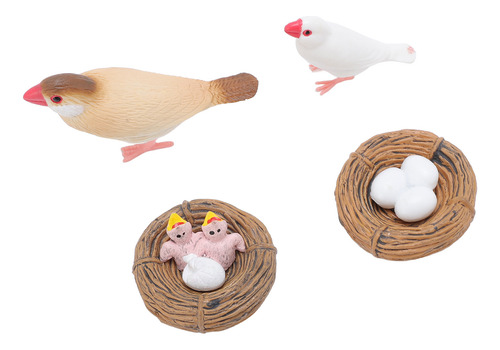 Figuras Educativas De Pvc Sobre El Ciclo De Vida De Aves, 4