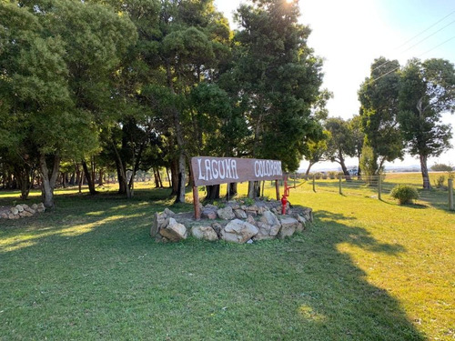 Quinta En Alquiler En Maldonado