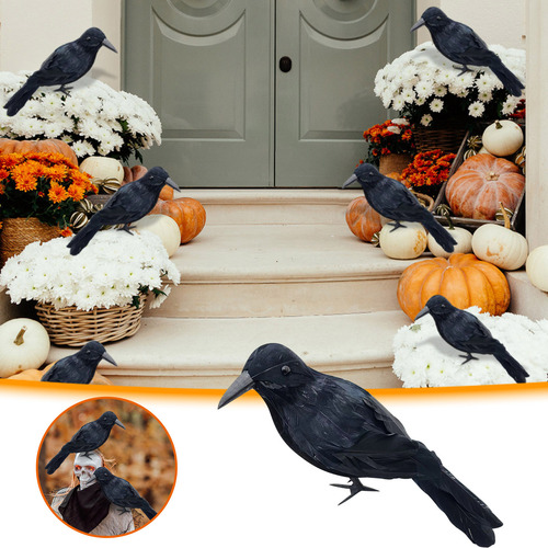 Es Un Cuervo Realista Con Plumas Negras Para Decoración De H
