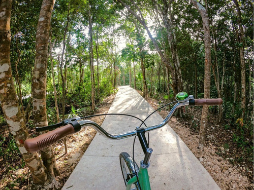 Imagen 7 de 18 de Terreno En Senderos Ciudad Mayakoba