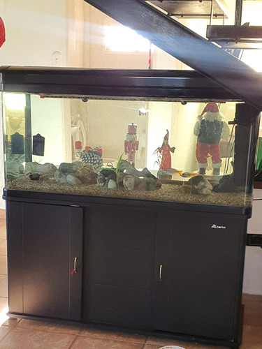 Pecera Acuario Importado Con Mueble