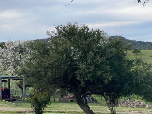 Imagen 17 de 27 de Campo 22 Has Con Casa, Cerca De Pueblo Edén - Pueblo Eden