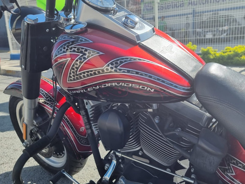 Imagen 10 de 13 de Harley Davidson Fat Boy Low 2014