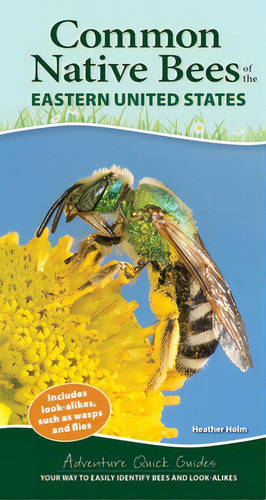 Common Native Bees Of The Eastern United States: Your Way To Easily Identify Bees And Look-alikes, De Holm, Heather. Editorial Adventurekeen, Tapa Blanda En Inglés
