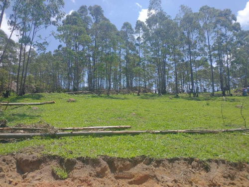 Compre O Seu Terreno Com Variadas Topografias, Venha Aqui Vê