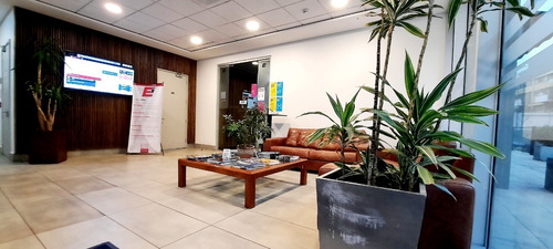 Imagen 1 de 29 de Atencion 6 Privados + 30 Islas De Trabajo - Amobladas 250m2