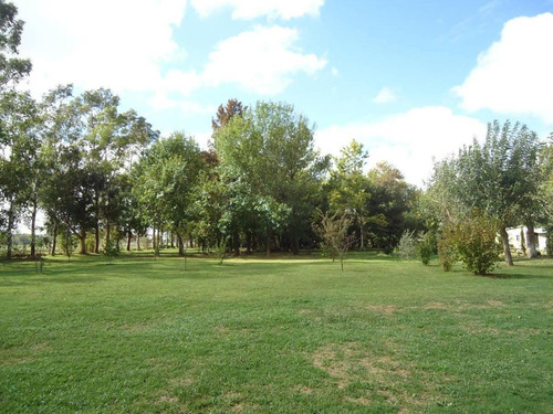 Imagen 2 de 18 de Venta De Chacra