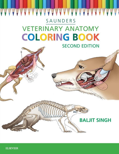 Veterinary Anatomy: Coloring Book, de Baljit Singh. Editorial Saunders, tapa blanda, edición 2da edición en inglés, 2015