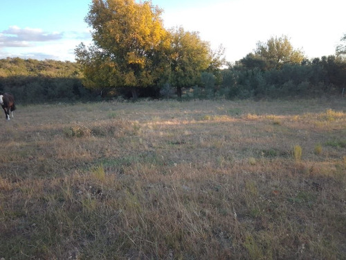 Imagen 10 de 28 de T056pa Amplios Terrenos De 1.350 M2 En Panaholma, A 300 Mts Del Río