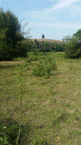 Imagem 4 de 6 de Terreno, Centro, São Miguel Arcanjo - R$ 275.000,00, 8.700m² - Codigo: 234871 - V234871