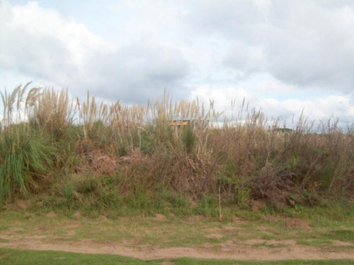 Imagen 1 de 6 de V092 - Lote En Venta, Costa Del Este, Orientación Norte