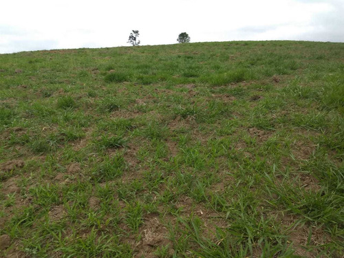 (k.a) Venho Apresentar Pra Vc Lotes De 500 M² Na Região Sp