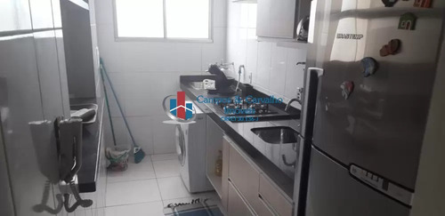 Imagem 8 de 9 de Rua Paranapanema, Sumarezinho, Ribeirão Preto - 42676