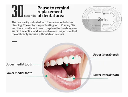 Cepillo De Dientes Eléctrico Automático Ipx7 A Prueba De Agu