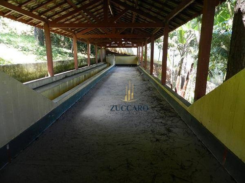Terreno À Venda, 1000 M² Por R$ 730.000,00 - Portal Dos Gramados - Guarulhos/sp - Te0914