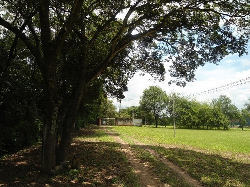 Imagem 1 de 30 de Vendo Área Na Estiva Em Louveira Com 150 Mil M². - Ar00006 - 2586566