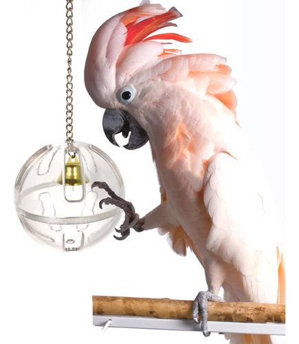 Pet Bird Parrot Toy Parrot Food Foraging Ball Para Budgies