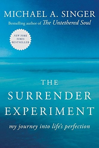 The Surrender Experiment My Journey Into Lifes Perfection