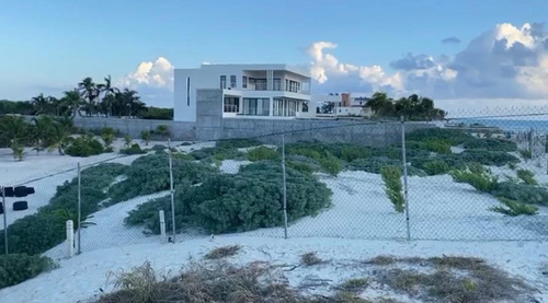 Imagen 3 de 10 de Terreno Isla Blanca Venta Frente De Playa