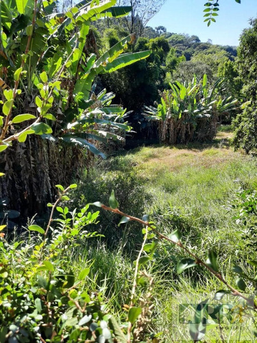 Imagem 4 de 15 de Chácara Para Venda Em Ribeirão Pires, Itrapoá, 2 Dormitórios, 5 Banheiros, 10 Vagas - 322_2-1177729