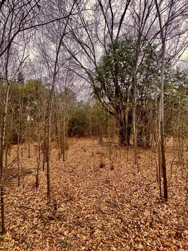 Imagen 2 de 3 de Lote En Venta Apto Cuatro Unidades Mts Av. San Martin